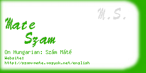 mate szam business card