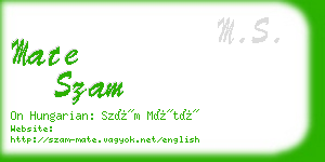 mate szam business card